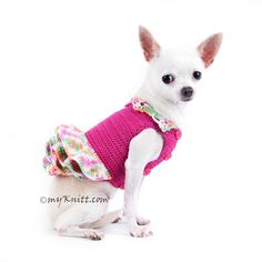 a small white dog wearing a pink sweater with flowers on it's chest and collar