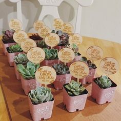 there are many succulents in small pots on the table with name tags