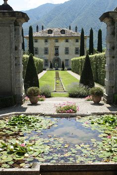 an outdoor pond surrounded by water lilies in front of a large house