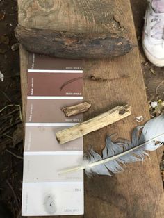 a feather and some paint samples on a wooden table next to a piece of driftwood