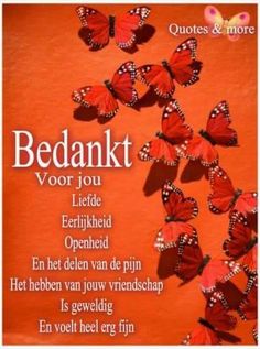 some red butterflies on an orange background with the words bedakt vor you