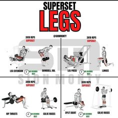 a diagram shows how to do the dumbbles with different squats and bench presses