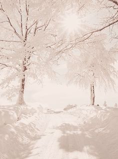 a snow covered road with trees on both sides and the sun shining through the branches