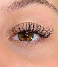 Lash Extensions For Round Eyes, Lashes 1:1, Lash Extensions Classic, Classic Lash Extensions, Eye Lash Extensions, Classic Lashes