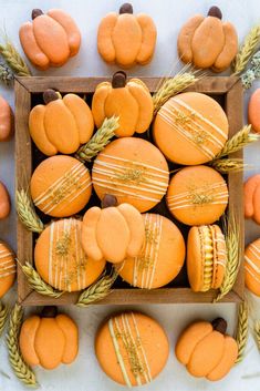 pumpkin shaped cookies in a wooden box surrounded by ears of wheat and mini pumpkins