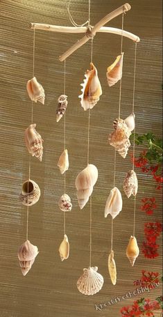 the shells are hanging from the ceiling