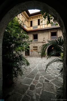 an arched doorway leading into a courtyard with palm trees and plants in the foreground