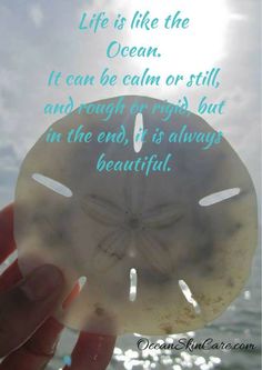 a person holding up a sand dollar with the words life is like the ocean it can be calm or still