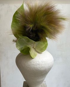 a white vase with a green plant in it's center and long hair on top