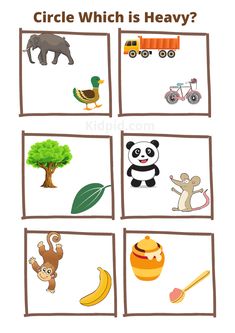 a set of four pictures with animals and other things in them, including an elephant, panda