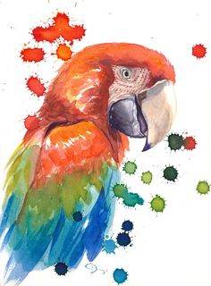 a painting of a colorful parrot on a white background