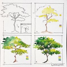 four different types of trees are shown in this drawing