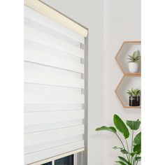 a living room with white walls and two shelves on the wall, one has a potted plant