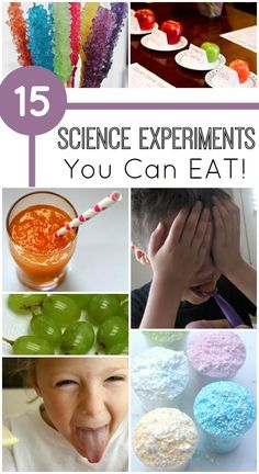 the top ten science experiments you can eat