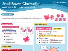 GI - Gastrointestinal - Google Drive Nursing School Pharmacology, Simple Nursing, Chrons Disease, Wound Care Nursing, Nurse Study, Nurse Practitioner School, Nclex Study Guide, Nursing Cheat, Med Surg Nursing