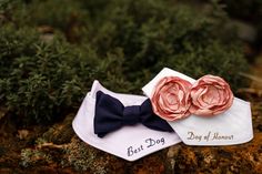 two pink flowers are placed on top of a white hat with a blue bow tie