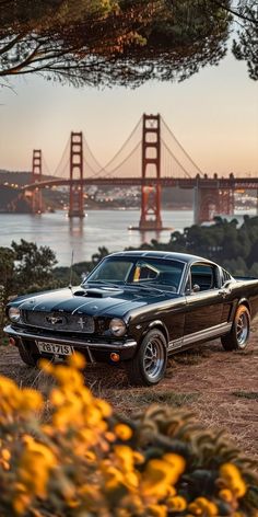 an old black mustang parked in front of the golden gate bridge at sunset with yellow flowers