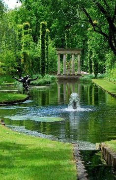 a small pond in the middle of a lush green park