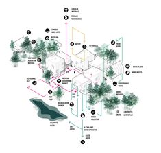 a diagram showing the location of trees and how they are connected to each other with different locations