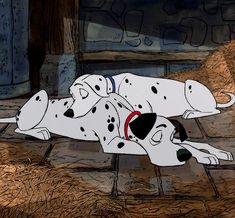 two dalmatian dogs are laying on the ground