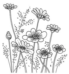 black and white drawing of flowers