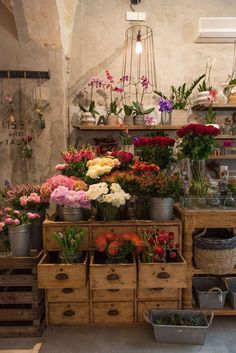 many flowers are in wooden boxes on the floor next to some shelves with pots and pans