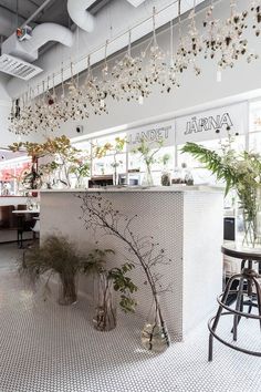 an indoor bar with plants hanging from the ceiling and potted plants on the counter