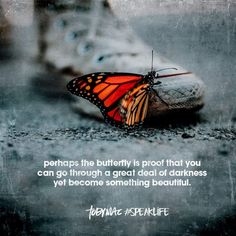 a butterfly sitting on top of a pair of shoes with a quote above it that says, perhaps the butterfly is proof that you can go through great dad