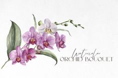 a watercolor painting of purple orchids on a white background