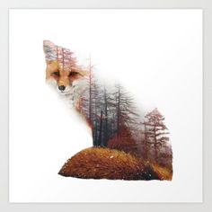 a red fox sitting in the middle of a forest with trees on it's side