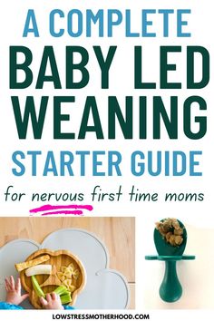 the complete baby led weaning starter guide for nervous first time moms