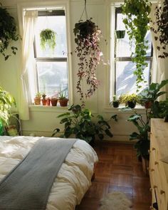 a bedroom with plants hanging from the windows