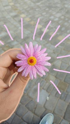 a hand holding a pink flower with yellow center surrounded by small sprinkles