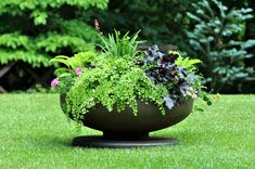 a planter filled with plants sitting on top of a lush green grass covered field