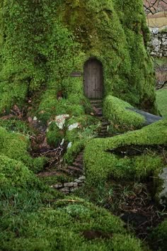 a moss covered building with a door in the middle