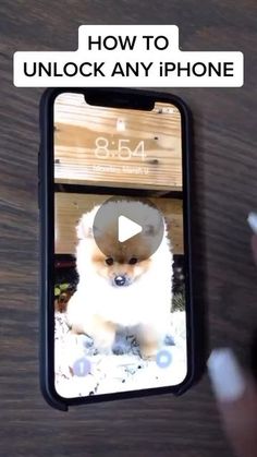 someone is holding their cell phone up to take a photo with the dog on it