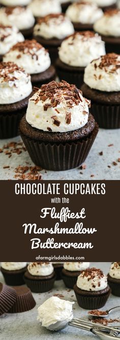 chocolate cupcakes with white frosting and sprinkles