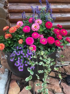 a large pot filled with lots of colorful flowers next to a pile of rocks and stones