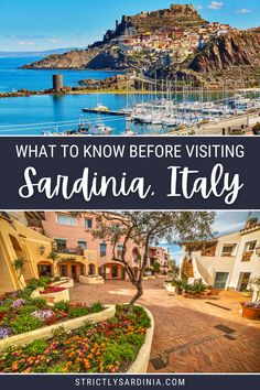 what to know before visiting san antonio, italy