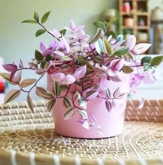 a pink flower pot sitting on top of a wicker table