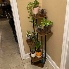 three tiered plant stand with potted plants on each shelf in front of the door