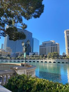 a view of the city from across the lake in front of some buildings and trees