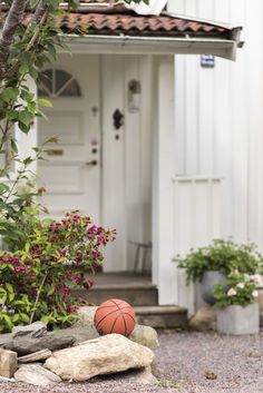 a basketball sitting on top of a pile of rocks next to a tree and house