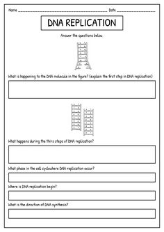 a worksheet with instructions to help students learn how to use the data