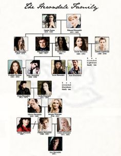 a family tree is shown with many people