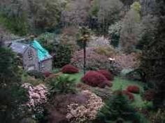 an aerial view of a house in the middle of trees and bushes, with a green roof