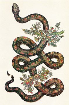 a drawing of a snake with flowers on it