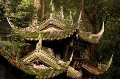 an elaborate roof in the middle of a forest