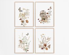 four framed art prints featuring an owl and flowers