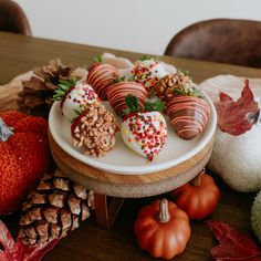 chocolate covered strawberries on a white plate with autumn decorations around them and pumpkins